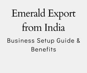 Business Setup Guide & Benefits